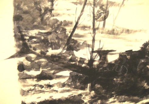 Stethacanthus roughed in