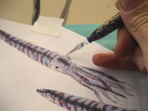 Transferring the Drawing- Belemnites