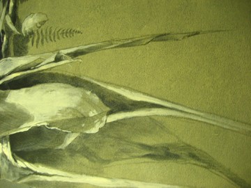 Leaf detail, Collared Aracari painting