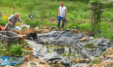 Pond reconstruction- scary to look at