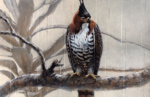 Something’s Coming