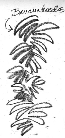 Bananadoodle Warmup Drawing Exercise