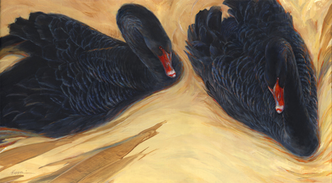 blackswans.jpg