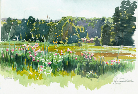 Petersham Commons Meadow