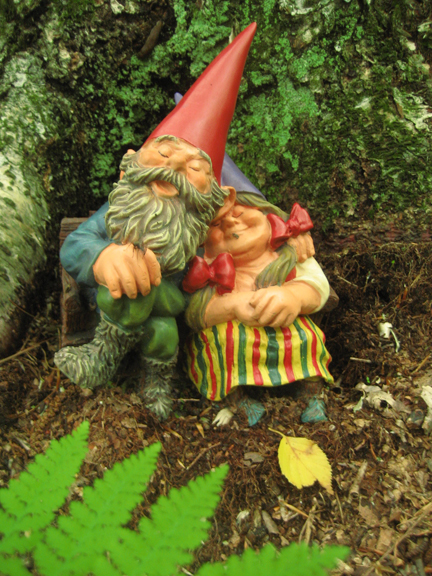 In the Harvard Forest, where even the gnomes are content.