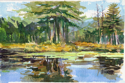 Harvard Pond, today, and sunny for a change.