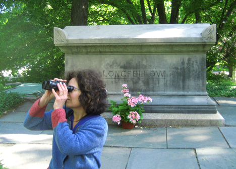 Snagging a warbler for Longfellow, Mt. Auburn Cemetery.