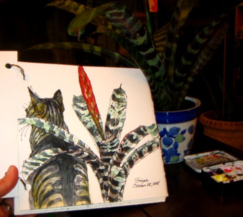 cat meets bromelliad. There's a theme for you.