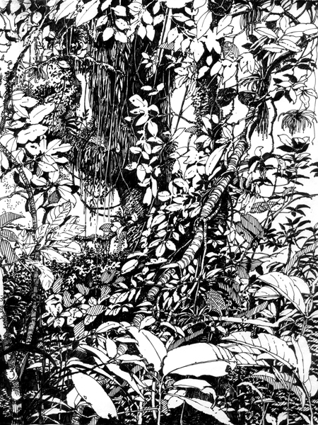 The mysterious jungle lures the artist and feeds the imagination.
