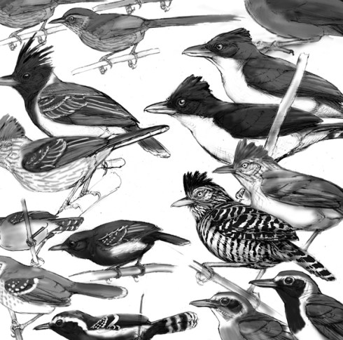 A piece of the puzzle- putting together a bird plate is like playing with jigsaw pieces