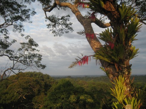 Dawn over the Peruvian Amazon, "the land where God did not finish creation". 