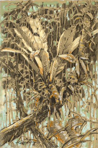 the luxuriance of the tropical forest, layers of life and form