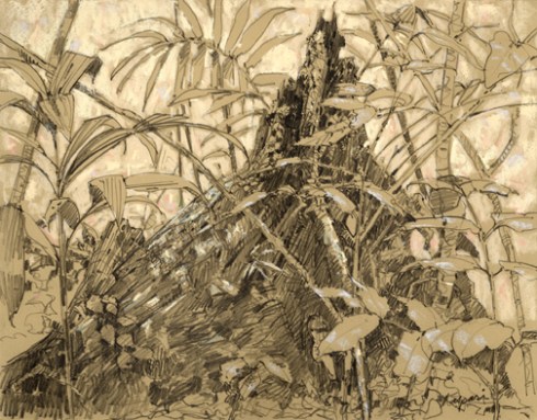 amazonstumpdrawingsmaller