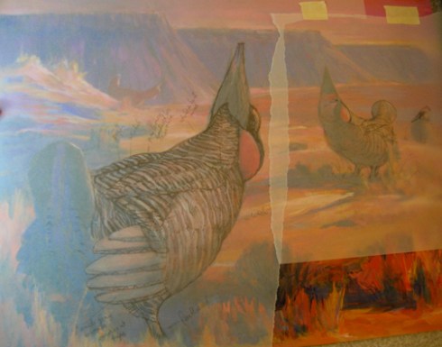 A tissue overlay lets me work out the feather tracts and patterns.