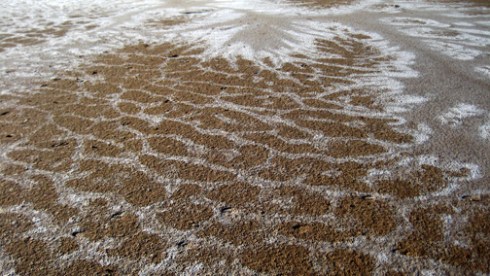 Patterns of salt on sand, Cimarron River at Selman Ranch