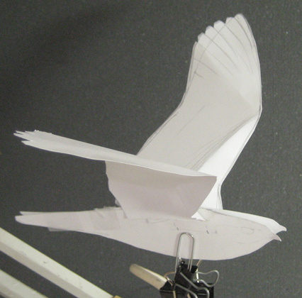 a paper model of a nightjar to sketch from in creating a plate for Birds of Trinidad and Tobago