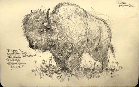 The obvious advantage of drawing museum mounts is that they never move. Disadvantage: I imagine dusting can be onerous.