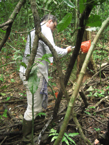 Science on the hoof: Mike does fieldwork on BCI.