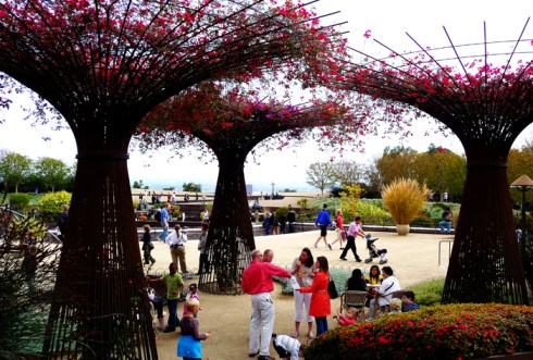 Rebar trees with bougainvillea blossoms. I might try this at home.