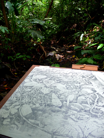 As I drew, imagining the attila in place. Attilas were singing all around me during the drawing of this one.