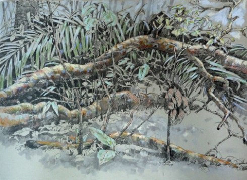 A fallen branch creates a clearing in the forest; the light it admits to smaller trees more than makes up for the mess it makes. 18"x24" graphite and pastel on Rives BFK.