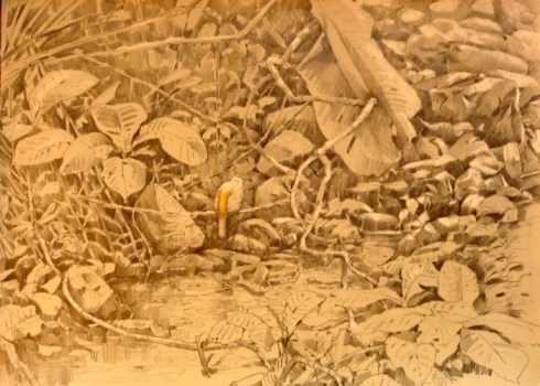 This is the "finished" drawing, with just a spot of yellow on the rump of the bird. 18" x 24" on toned Fabriano Ingres paper (not this yellow- that comes from bad lighting and camera work- sorry!)