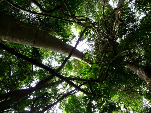 Things are looking up from here! 