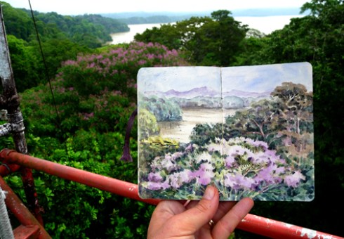 The view at the top of the tower on BCI, with watercolor. The purple blooming tree in the foreground (and the painting) is Dipteryx panamensis.