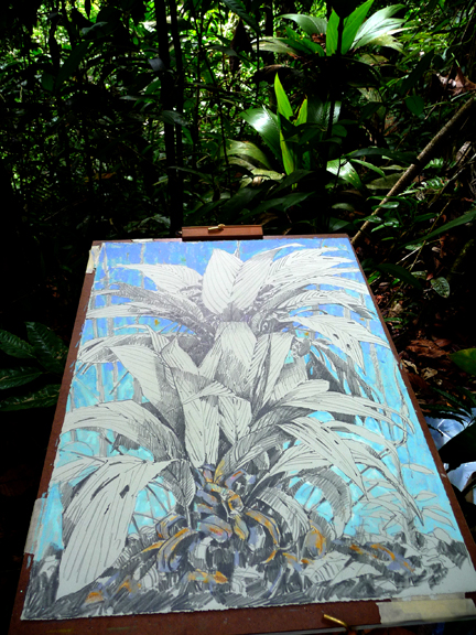 Today's drawing, plein air in the jungle.