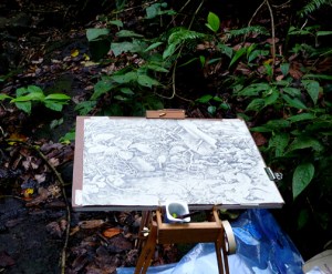 This is my setup for drawing plein air in the rainforest: a wooden folding easel, drawing board, drafting tape, a yogurt container to hold my pencil and sharpener, and plastic, lots of plastic.