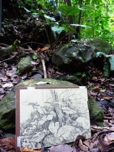 The drawing and the subject. I got the drawings about 80% done in the field and completed them later in the studio, where I could make color and value choices undistracted by reality.