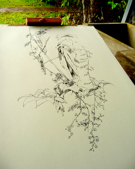 Drawing on site in Panama