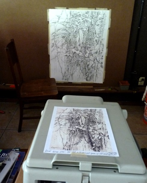 Enlarging the orchid drawing with a projector.