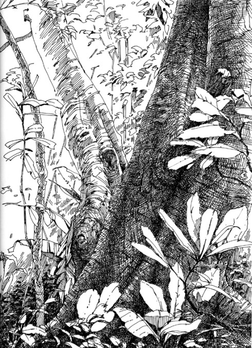 Monkeys watched over my shoulder as I drew this one. BCI 2007.