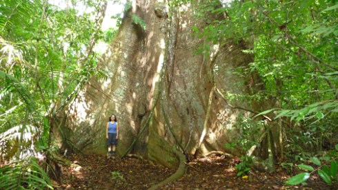 Yours truly, for scale. All 5'2 3/4" of me.