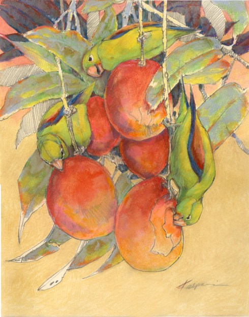 "Canal Zone- Orange-chinned parakeets on mangos" Graphite and pastel on paper, 16" x 20". From field sketches made from the balcony of a friend's house in Gamboa.