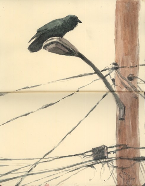 Birdwatching in Santa Fe.