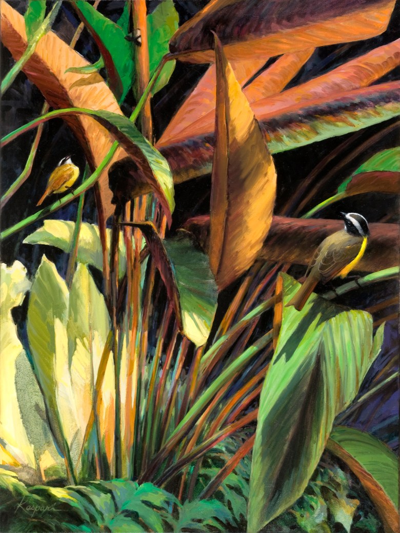 Rusty-margined flycatchers in Panama, oil on canvas 26" x 30"