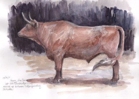 OxRedDevonSturbridge