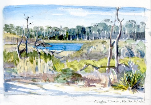 Grayton State Beach coastal dune lake habitat near Pensacoloa, Florida. Watercolor over pencil.