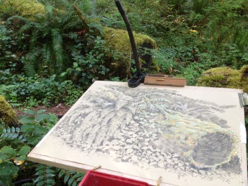 At HJ Andrews Experimental Forest in Oregon, August 2012