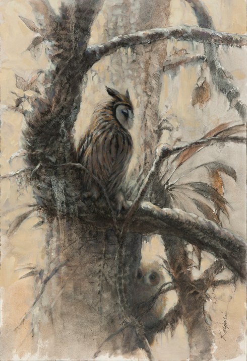 Striped owl adult and juvenile, combined from sketches. Oil on paper, 15" x 22".