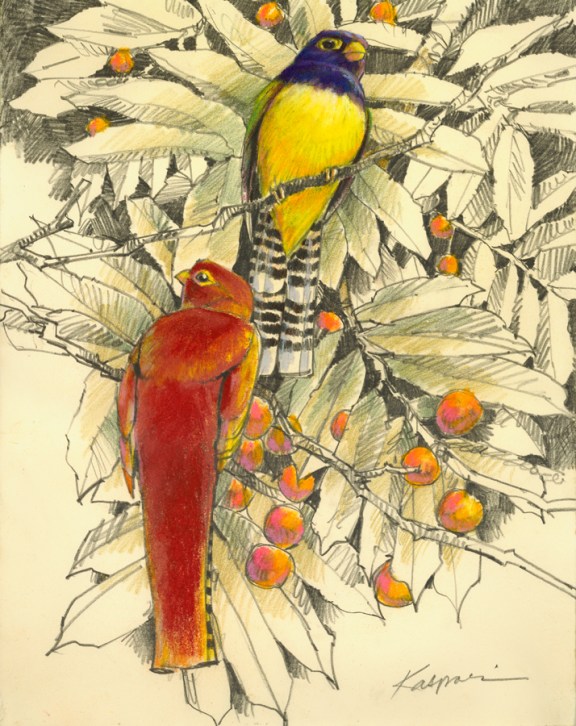These are not quetzals. Close, but no cigar. (Graphite and pastel on Rives BFK paper, )