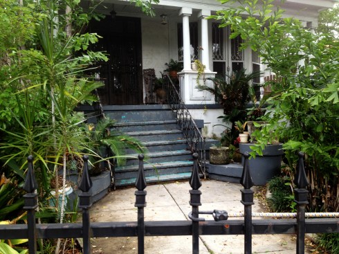 A fine and private place; the little courtyard gardens of New Orleans entice discreetly from behind iron spikes.