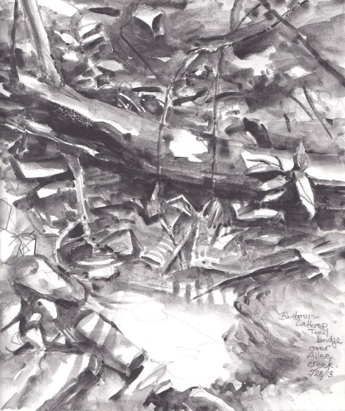 A lovely rill running down the Allee ravine. Painted while standing on a footbridge of the Barbour Lathrop trail. Water soluble graphite on Stillman & Birn Alpha Series 8 1/2 x 11 hardbound sketchbook.