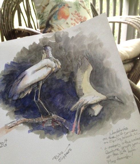 Dozens of pairs of breeding woodstorks on a little island in the water hazard at Spring Island, South Carolina. Drawn through a scope from the space between the green and the sand trap. watercolor wash over pencil on Stillman & Birn 8 1/2" x 11" Alpha Series hardbound book with mechanical pencil. 