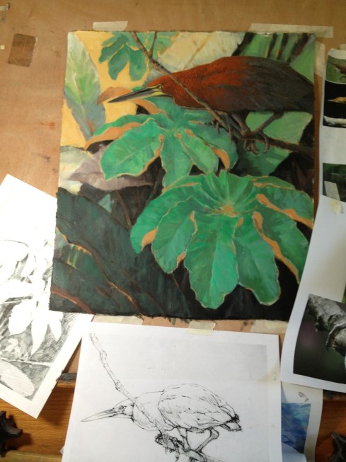 Rufescent Tiger Heron, oil on paper, 15" x 17". It's what's on the easel.