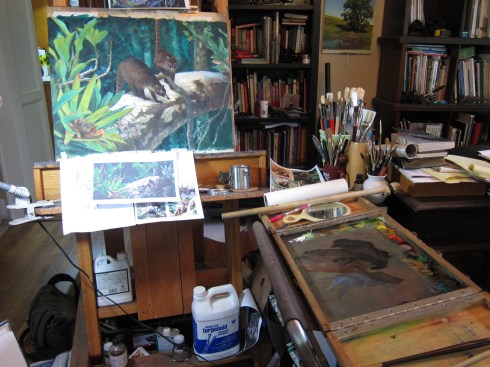 On the easel: a pair of coati mundis, posed on a high branch in a tropical forest. The coatis were sketched in Panama, the branch photographed in the Peruvian Amazon. Please don't tell anyone. Oil on Arches primed paper, 24" x 18". Please note the wooden palette box at the right. I built it. They're usually called a "French Mistress" but since I made it I'm calling it a "Rumanian Gigolo". 'Nuff said.