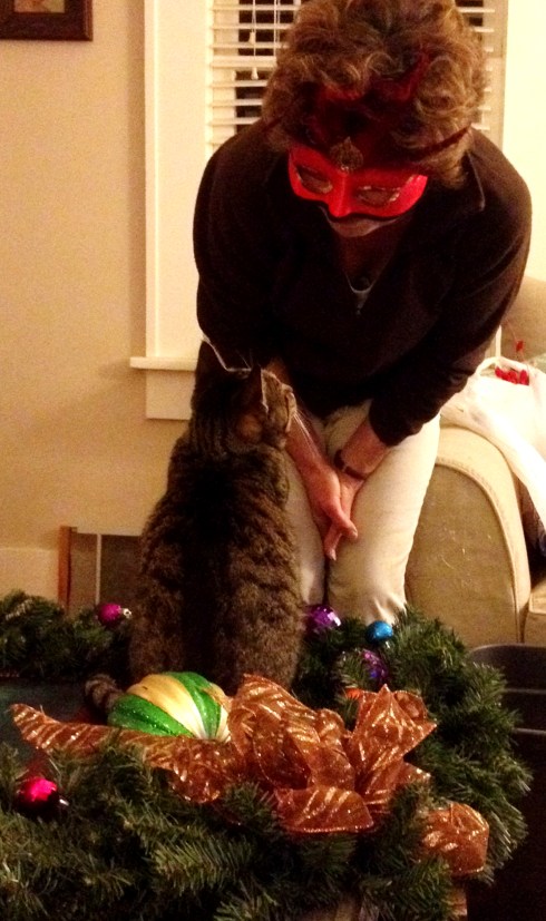 Holiday wishes from Gizmo, Ant Man (who took the picture) and the Motmot. Cheers!