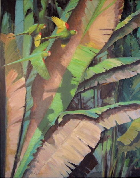 Another warm scene. Crimson fronted parakeets flying past a sunny patch of heliconia leaves. Oil on canvas, 24" x 30".